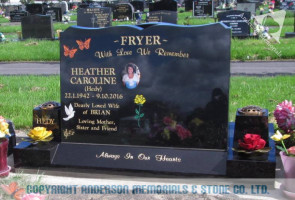 Fryer36912